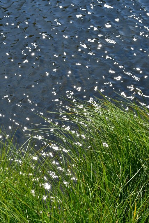 2019-08 Savoie/La Tuile/DSC_1645.JPG